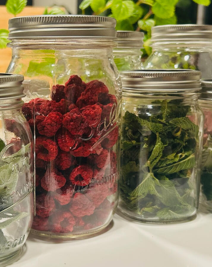 Freeze Dried Tea Ingredients